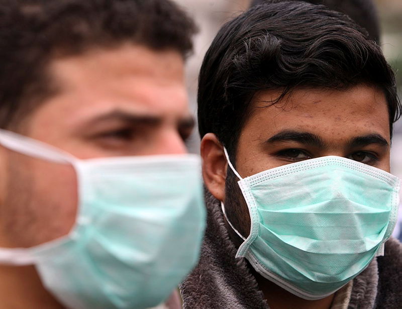 מתמגנים משפעת החזירים