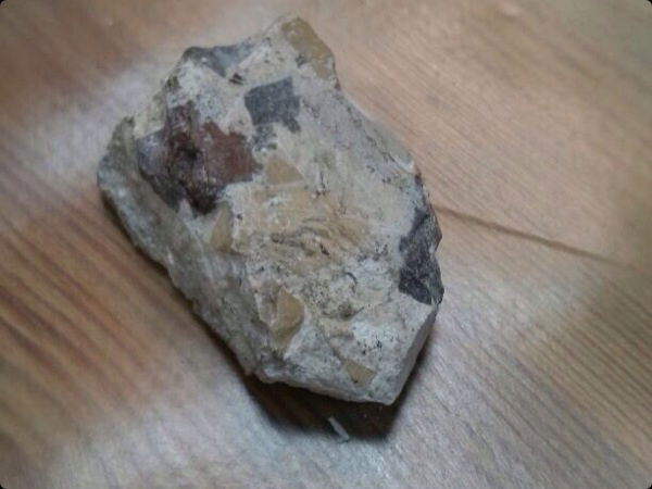 יפו: יידוי אבנים על בית כנסת