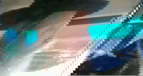 האדמו"ר משומרי אמונים