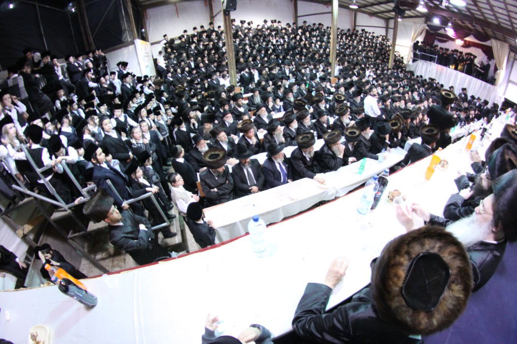 צפו: האדמו"ר מנדבורנה חיתן את בתו עם נכד האדמו"ר מהאלמין