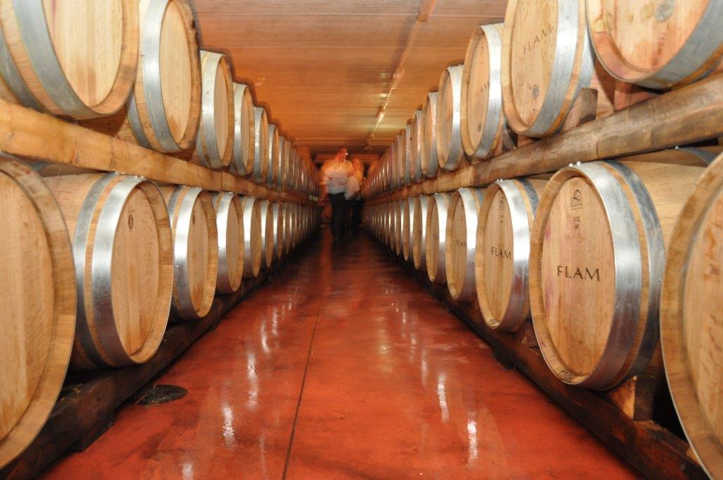 פורים קטן: פורום היין החרדי התארח ביקב פלם