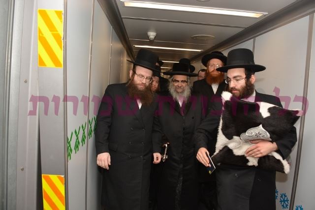 גלריה: האדמו"ר מסאטמר בישראל