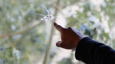 "הירי" לאקי"ם: בעל מקצוע שקדח חורים