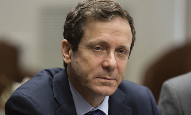 בוז'י הרצוג