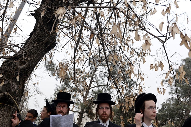 שישים ריבוא התאחדו נגד רדיפת לומדי התורה • גלריה מסכמת