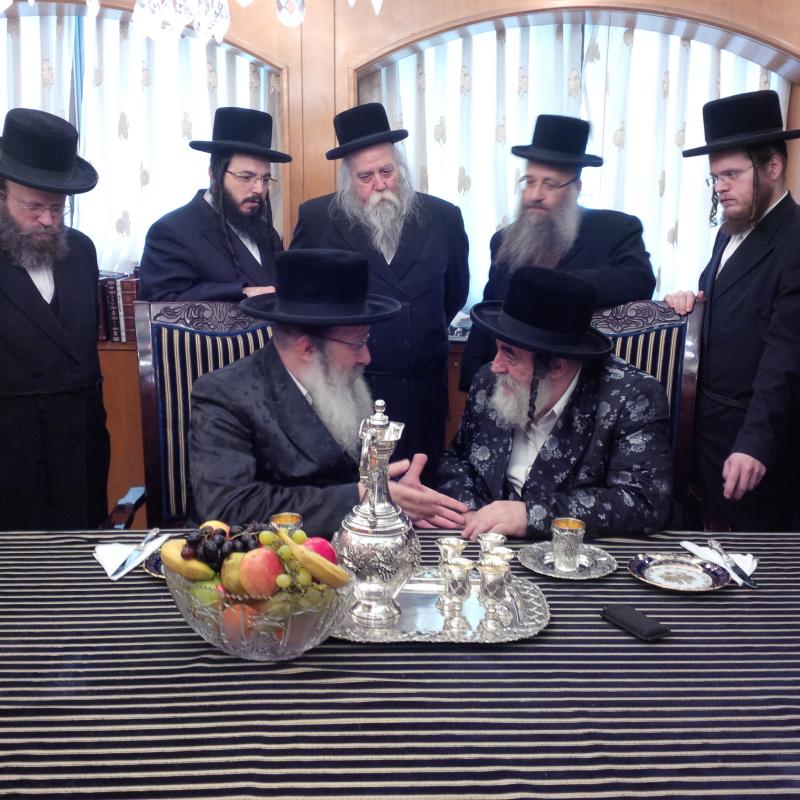 תיעוד: האדמו"ר מויז'ניץ בביקור אצל האדמו"ר מנדבורנה