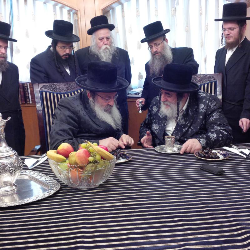 תיעוד: האדמו"ר מויז'ניץ בביקור אצל האדמו"ר מנדבורנה