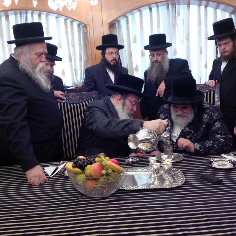 תיעוד: האדמו"ר מויז'ניץ בביקור אצל האדמו"ר מנדבורנה