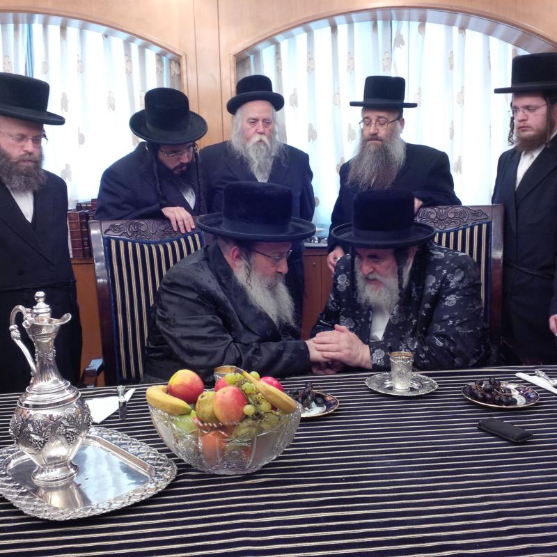 תיעוד: האדמו"ר מויז'ניץ בביקור אצל האדמו"ר מנדבורנה