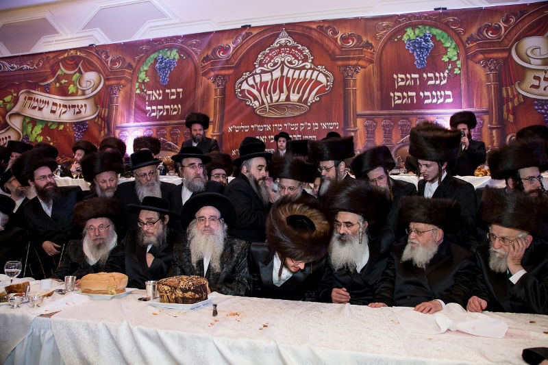 צפו בגלריה: שמחת נישואי בן האדמו"ר מדושינסקיא