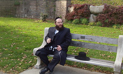 כותב השורות