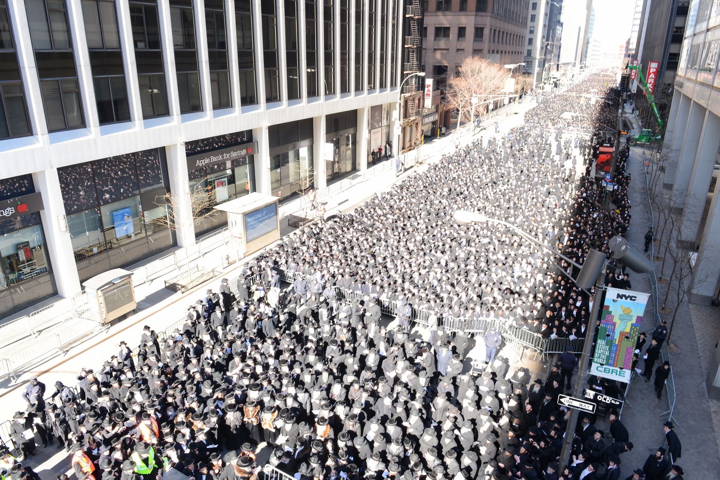 תיעוד מרהיב: העצרת במנהטן