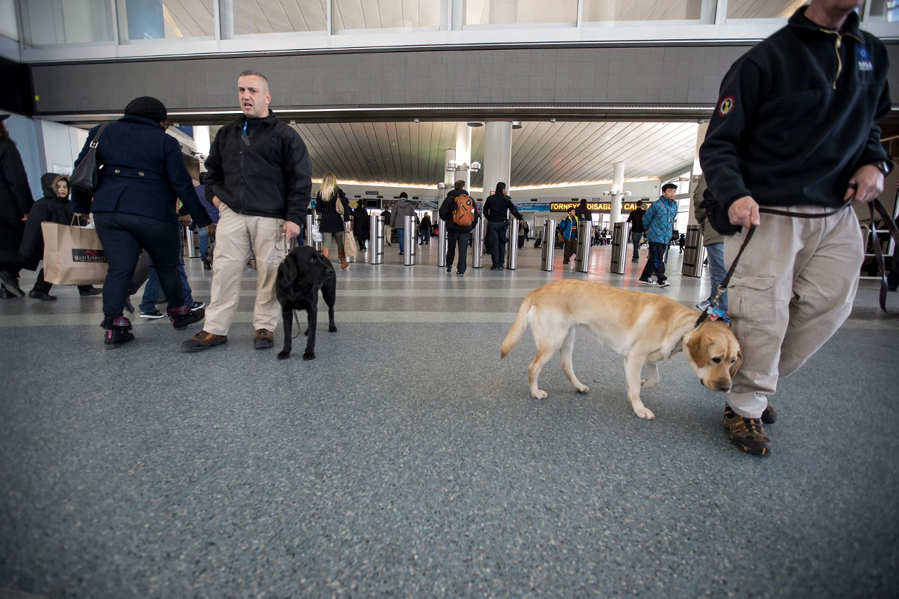 תיעוד ענק ﻿• מעמד קידוש השם גם בארצות הברית
