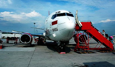 'המטוס הנעלם': שני הטייסים חטפו את המטוס?