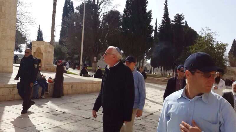 אריאל בהר הבית