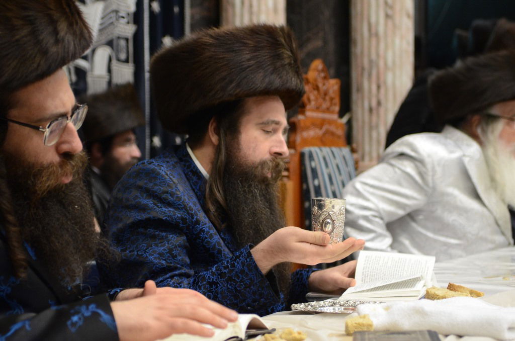 פורים בחצר הקודש צאנז • גלריה