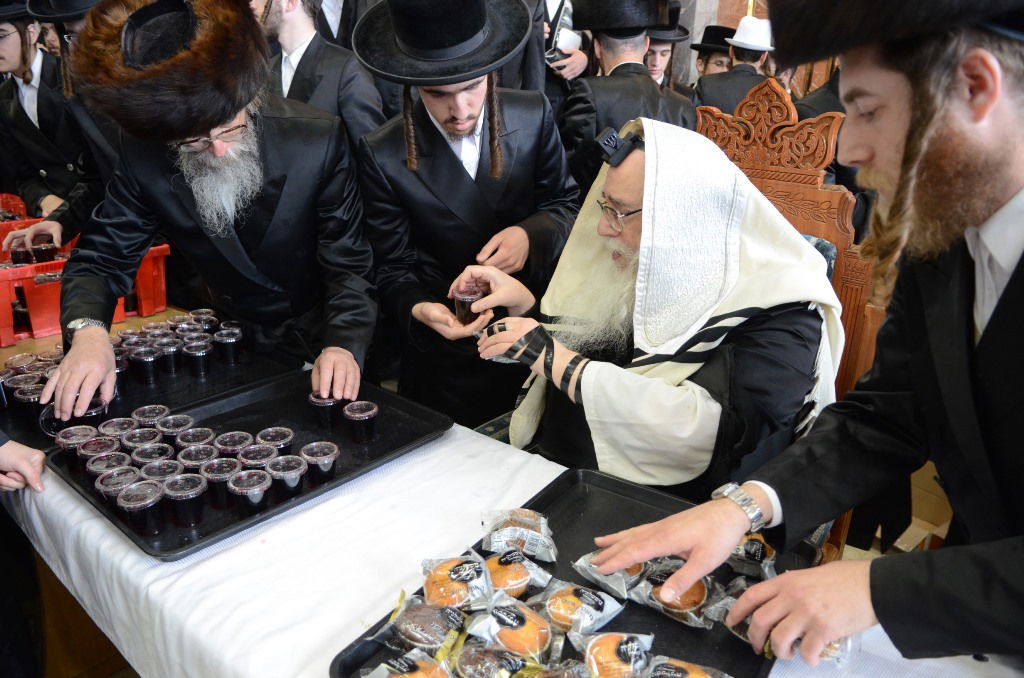 פורים בחצר הקודש צאנז • גלריה