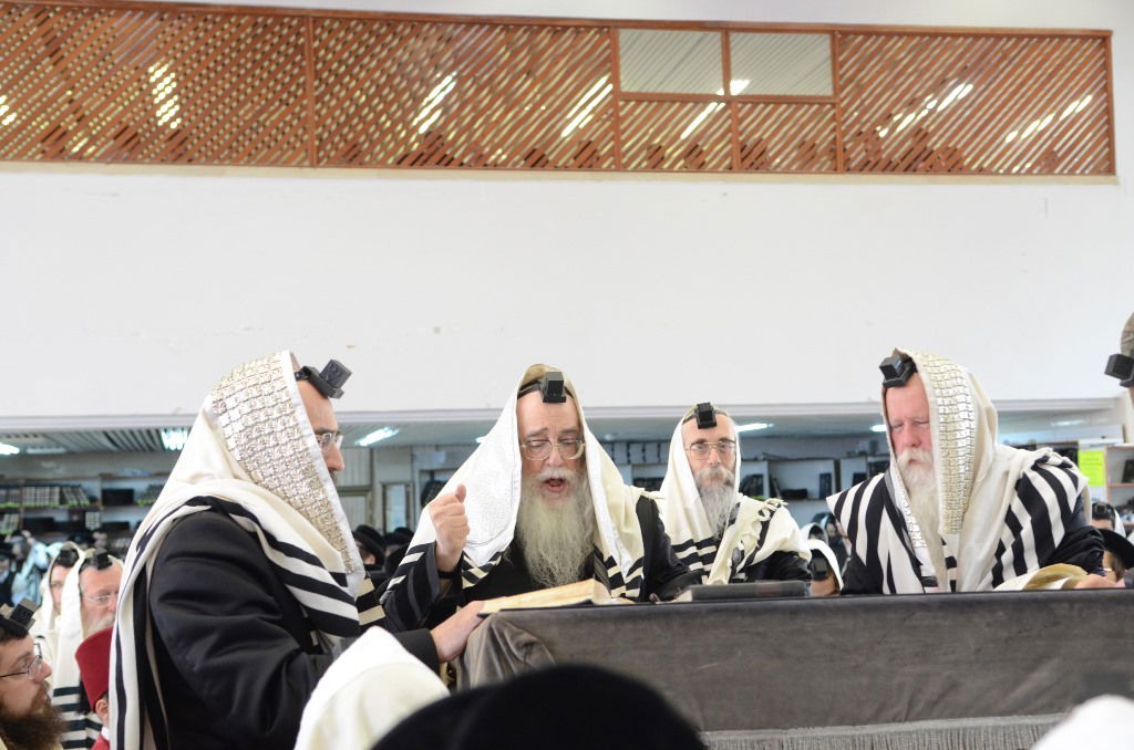 פורים בחצר הקודש צאנז • גלריה