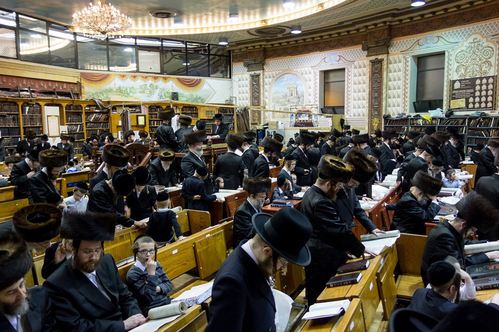 פורים בחצרות הקודש בארה"ב • תיעוד ענק