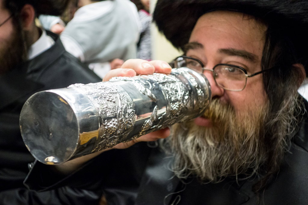 פורים בחצרות הקודש בארה"ב • תיעוד ענק