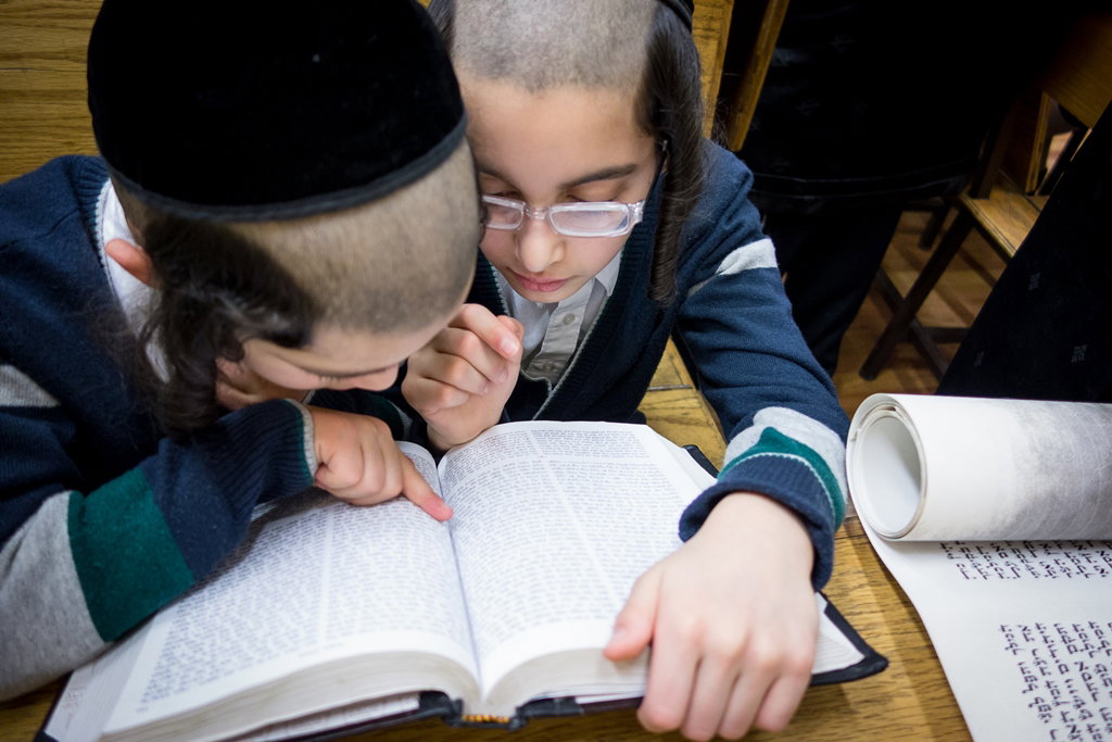 פורים בחצרות הקודש בארה"ב • תיעוד ענק