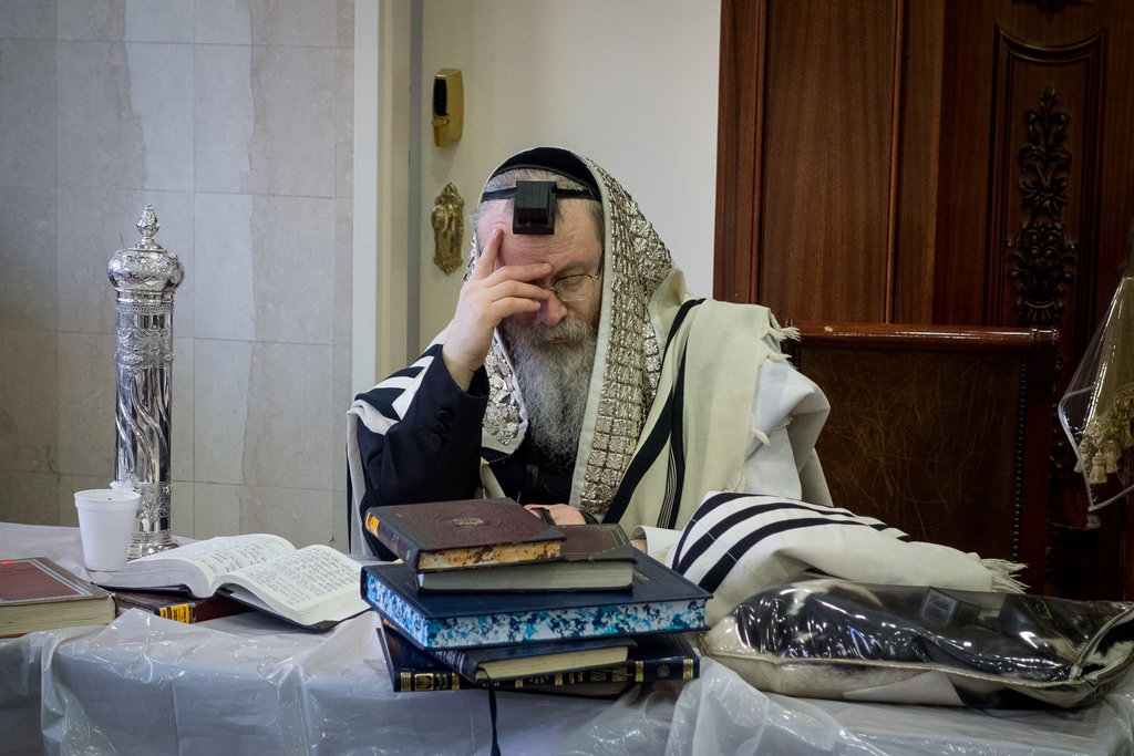 פורים בחצרות הקודש בארה"ב • תיעוד ענק