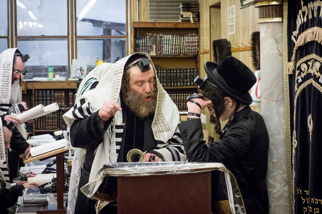 פורים בחצרות הקודש בארה"ב • תיעוד ענק