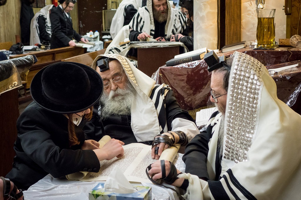 פורים בחצרות הקודש בארה"ב • תיעוד ענק