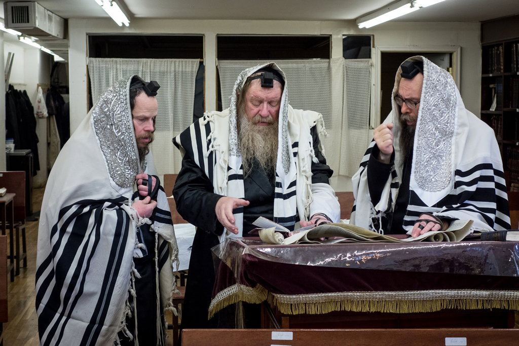 פורים בחצרות הקודש בארה"ב • תיעוד ענק