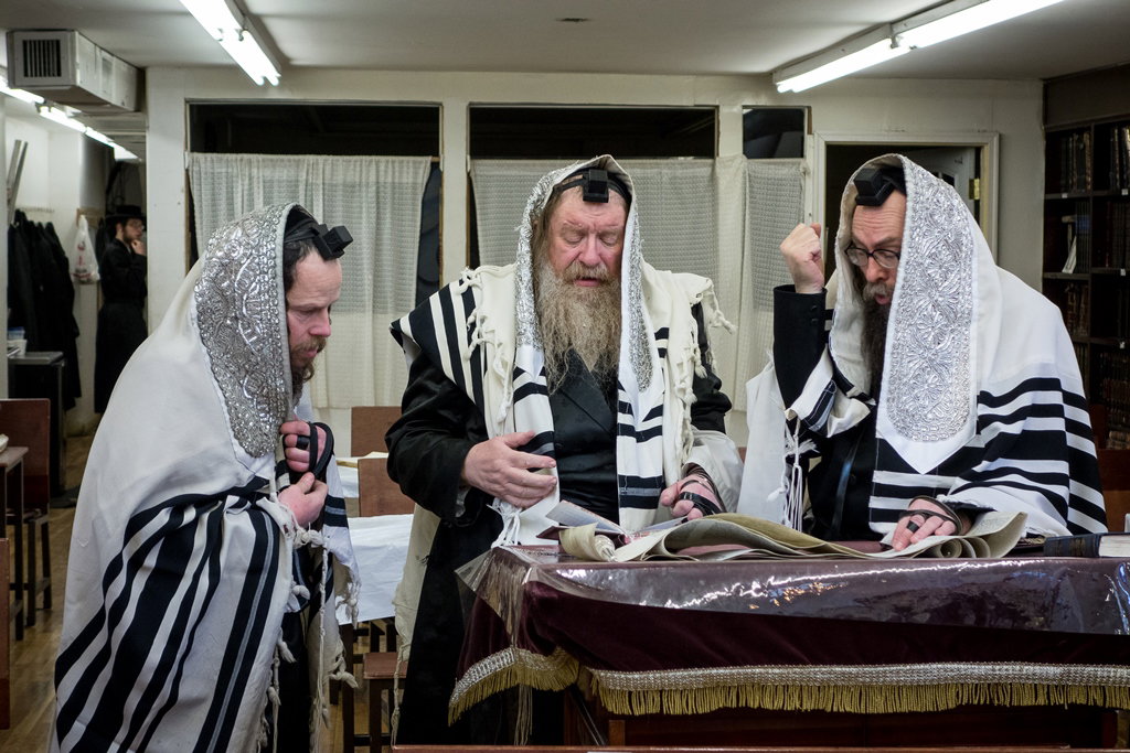 פורים בחצרות הקודש בארה"ב • תיעוד ענק