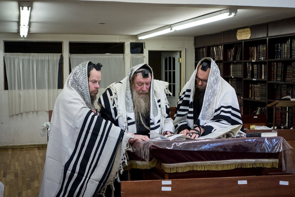 פורים בחצרות הקודש בארה"ב • תיעוד ענק