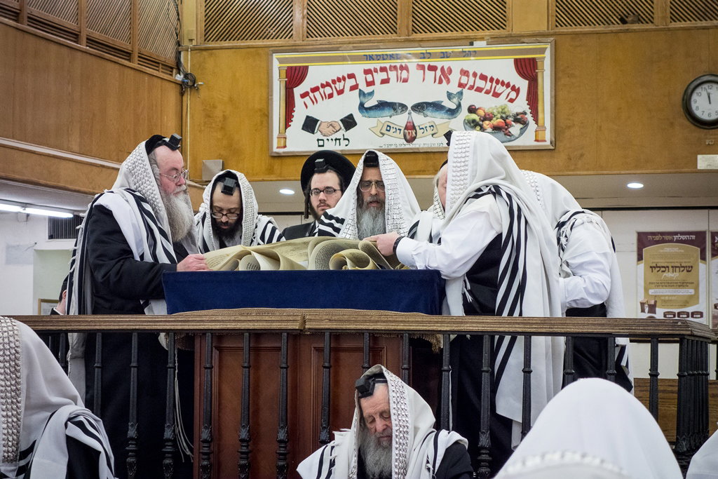 פורים בחצרות הקודש בארה"ב • תיעוד ענק