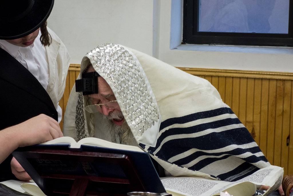 פורים בחצרות הקודש בארה"ב • תיעוד ענק