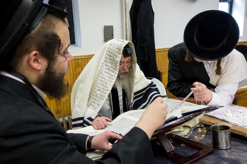 פורים בחצרות הקודש בארה"ב • תיעוד ענק