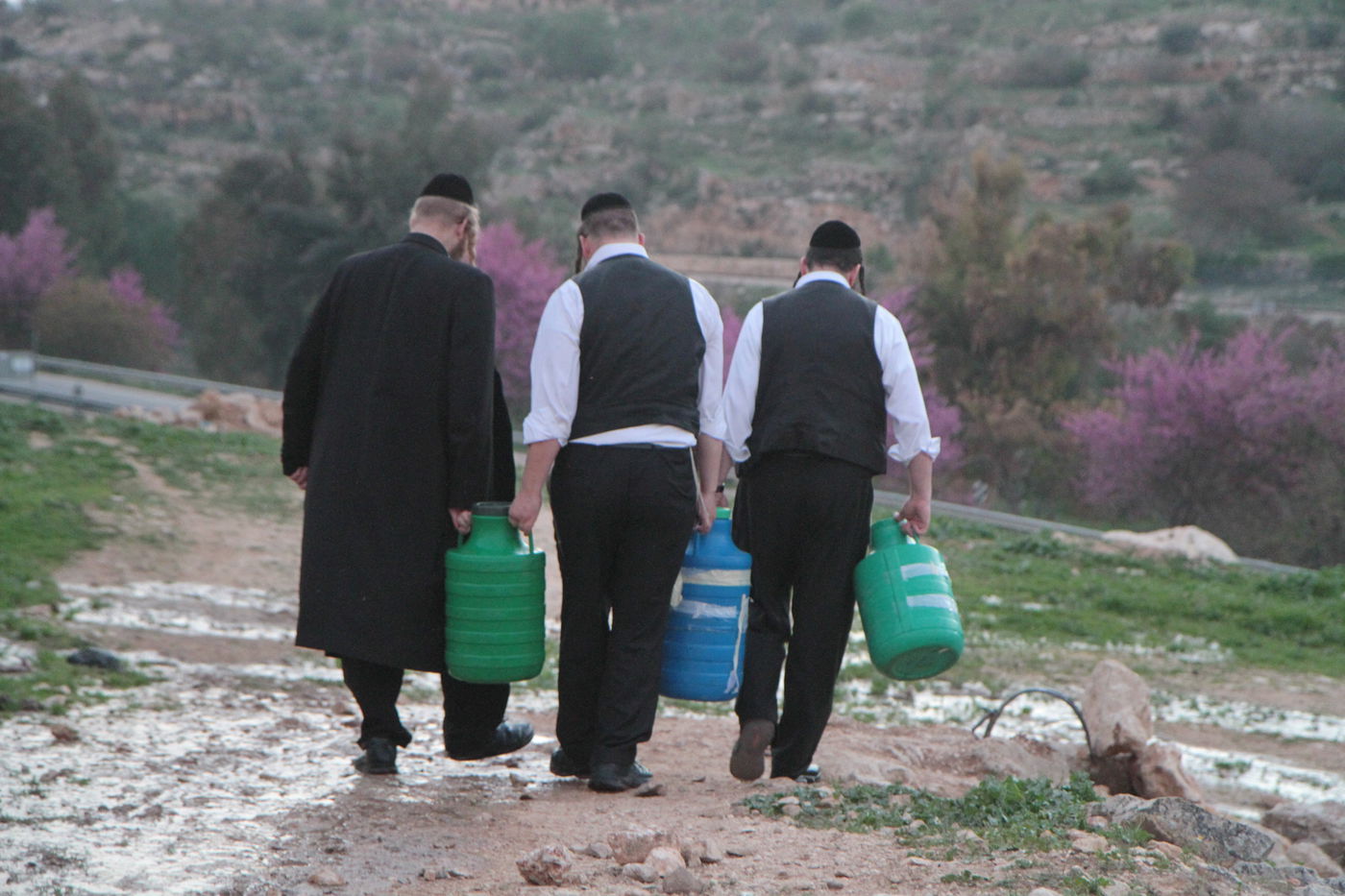 תיעוד: שאיבת "מים שלנו" במעיין עין חניה