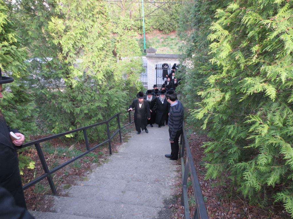 האדמו"ר מנדבורנה במסע לקברי אבות החסידות באירופה • תיעוד מקיף