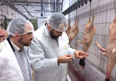 הרב לאו מבקר במשחטה