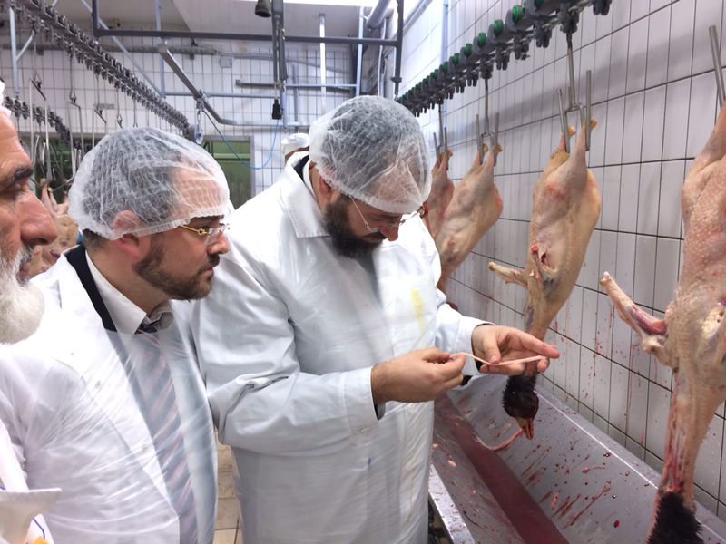 כך הפתיע הרב הראשי לישראל את השוחטים בהונגריה