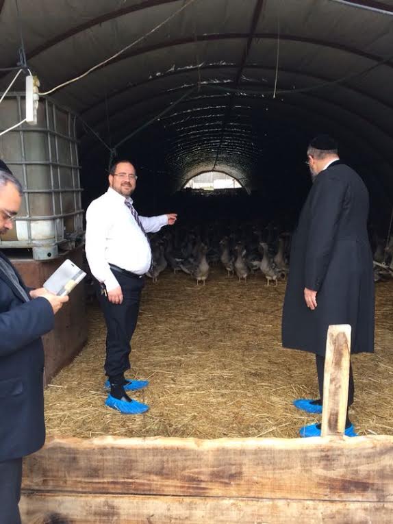 כך הפתיע הרב הראשי לישראל את השוחטים בהונגריה