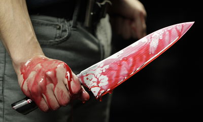 פירות הביאושים של החינוך החילוני