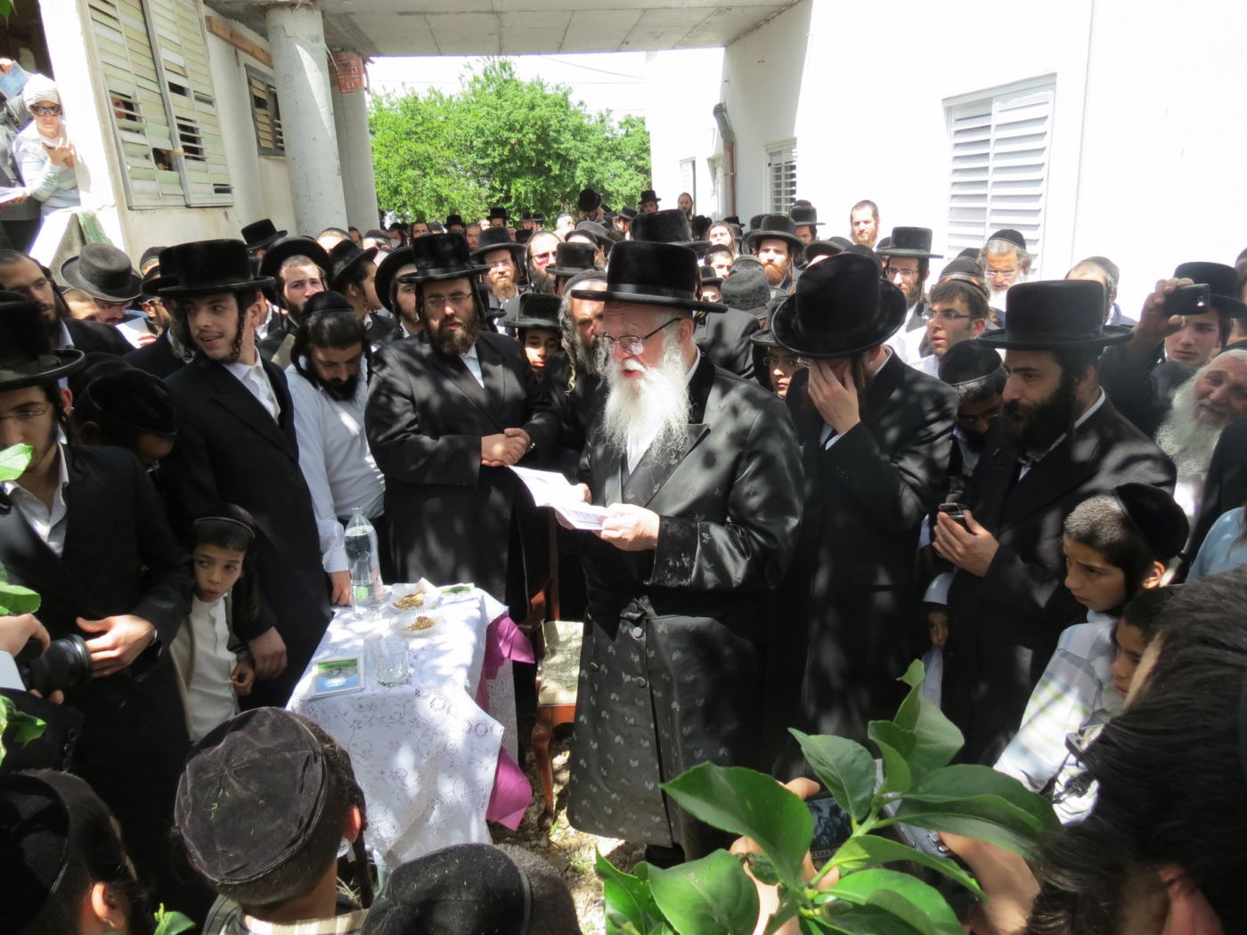 צפו: המוהרא"ש בברכת האילנות