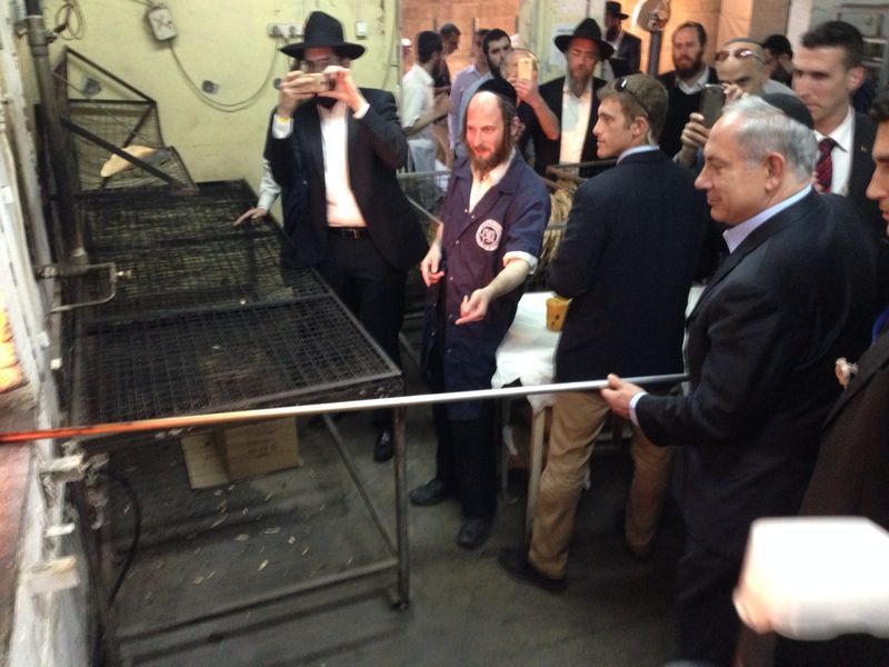 חב"ד מחבקת את נתניהו - אדריכל הסנקציות הפליליות