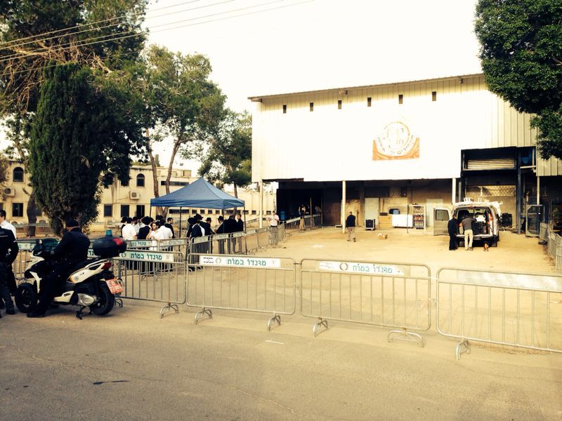 ביבי נגד החרדים? בכפר חב"ד יזכה לחיבוק • תיעוד מההכנות לביקור