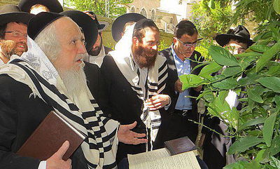 תיעוד: הרב שמואל אוירבך בברכת האילנות