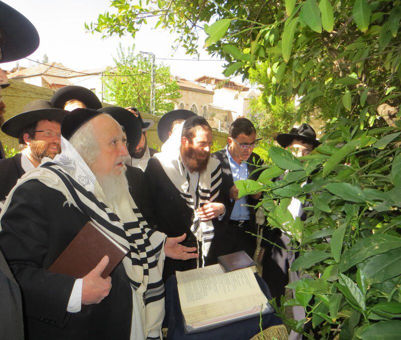 תיעוד: הרב שמואל אוירבך בברכת האילנות