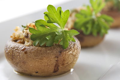 מתכון לפטריות ממולאות על לקס