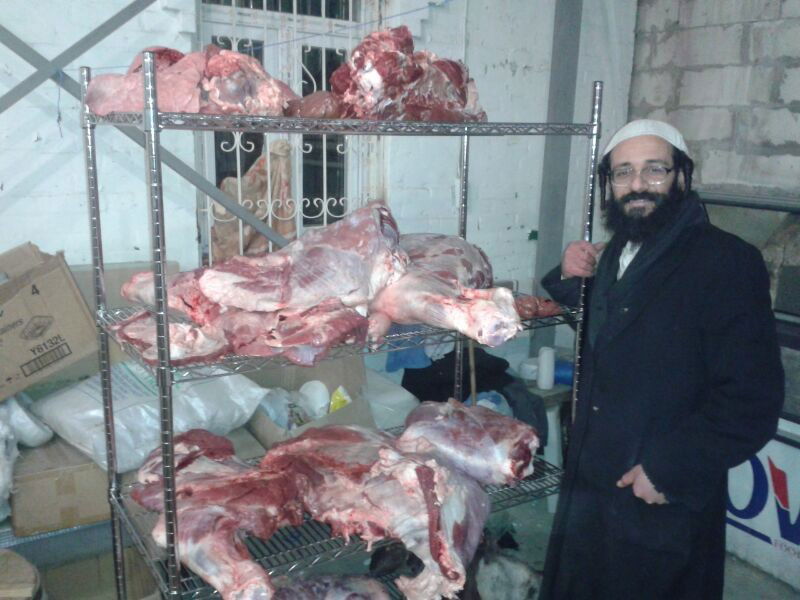 תיעוד: שחיטת עופות ובהמות באומן לחג הפסח