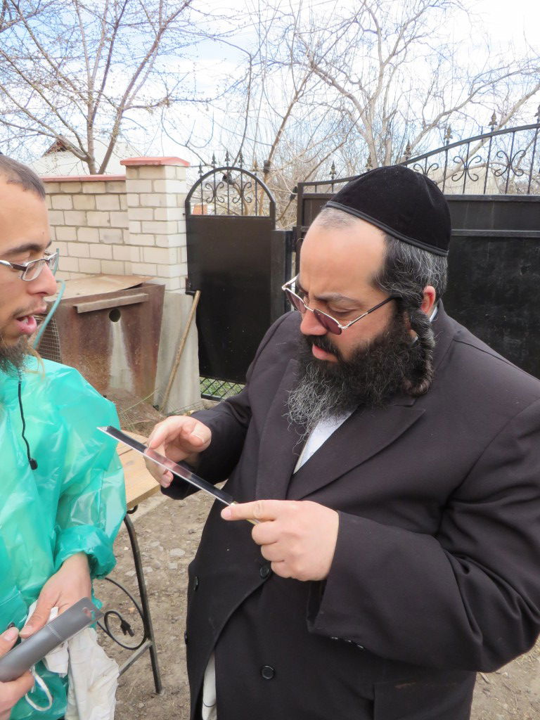 תיעוד: שחיטת עופות ובהמות באומן לחג הפסח