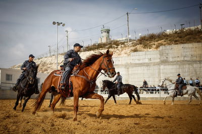 פסח במשטרה: נוסעים להורים בחג? כך תערכו
