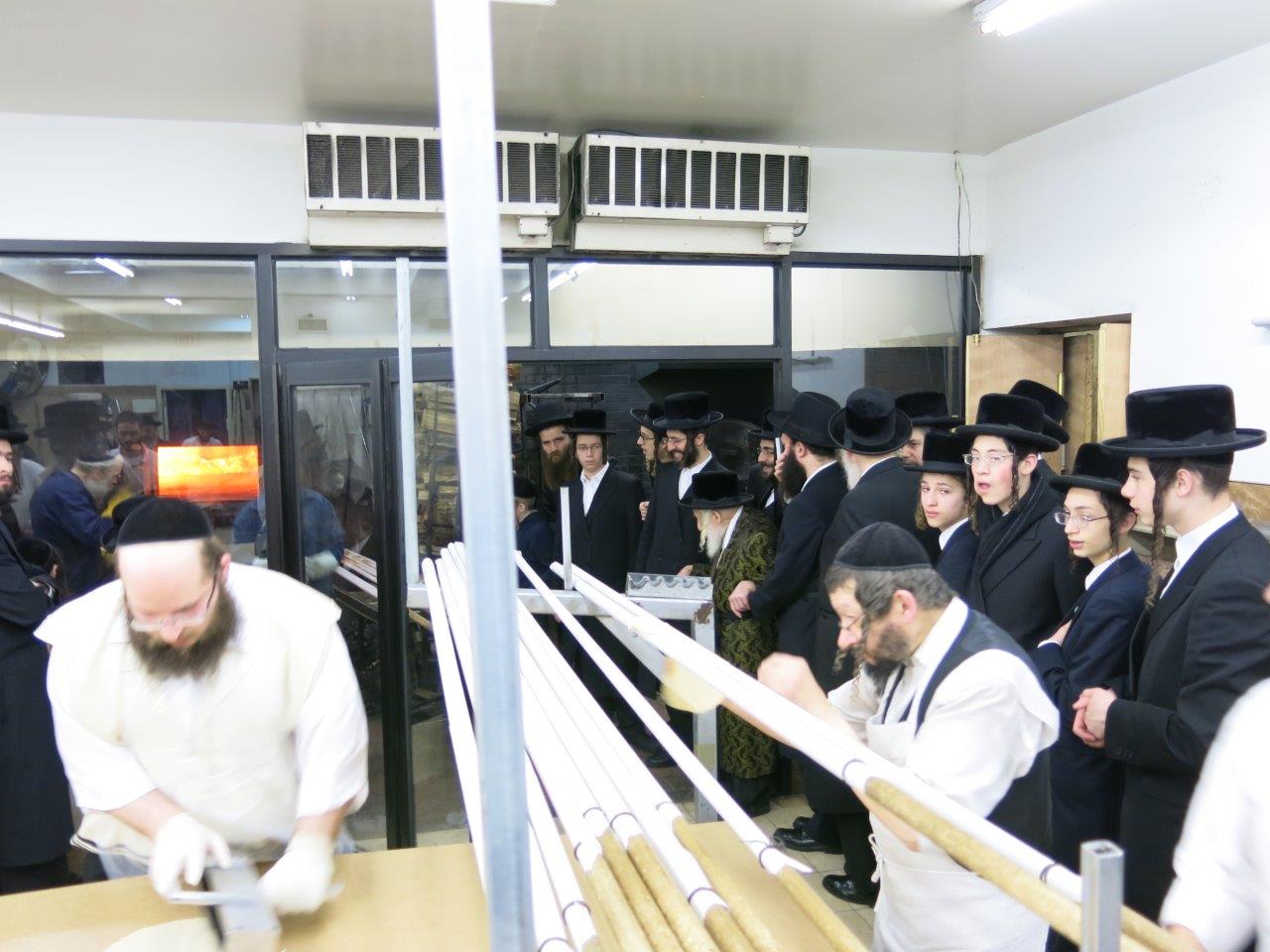 גלריה: האדמו"ר מסקולען אופה מצות בבורו פארק